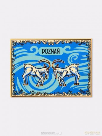 Magnes Poznań Koziołki