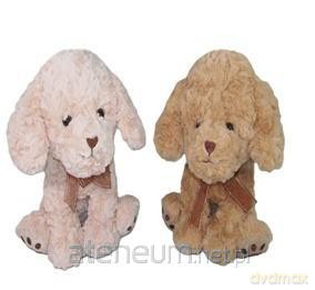 Pies 25cm MIX