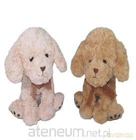 Pies 30cm MIX