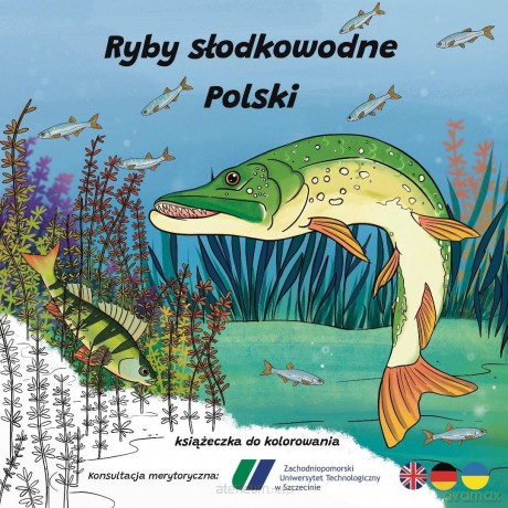 Ryby słodkowodne w Polsce - książeczka do kolorowa - Wojciech Sawicki, Ksenia Potępa [KSIĄŻKA]