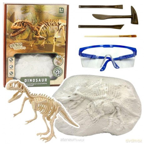 Wykopaliska Dinozaur