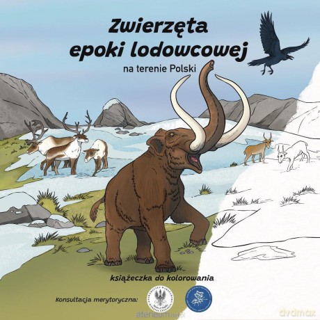 Zwierzęta epoki lodowcowej na terenie Polski - Hubert Kolczak [KSIĄŻKA]