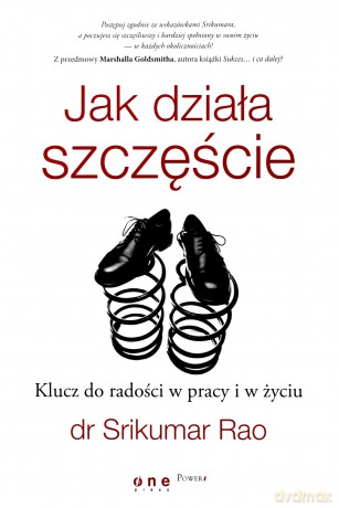 Jak Działa Szczęście Klucz Do Radości W Pracy i W Życiu - Srikumar Rao [KSIĄŻKA]