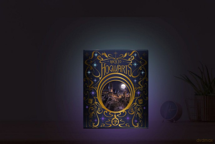 Harry Potter Lantern Back to Hogwarts
