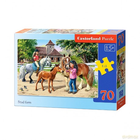 Castor 70 Elementów Stadnina Koni [PUZZLE]