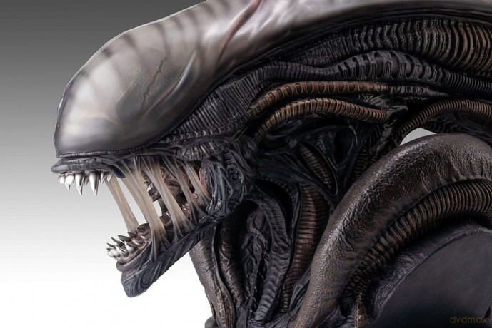 Alien Romulus Bust 1/1 Xenomorph 53 cm