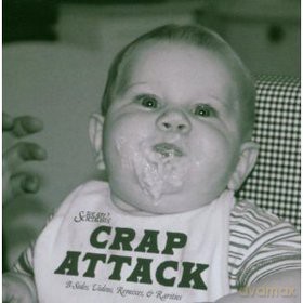 We Are Scientists: Crap Attack [CD]+[DVD]
