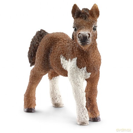 Schleich Szetlandzki Kucyk Młody [ZABAWKA]