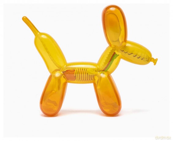 Funny Anatomy Honey Edition Balloon Dog Statue