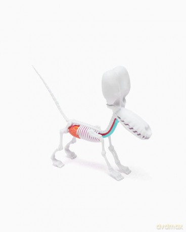 Funny Anatomy Honey Edition Balloon Dog Statue