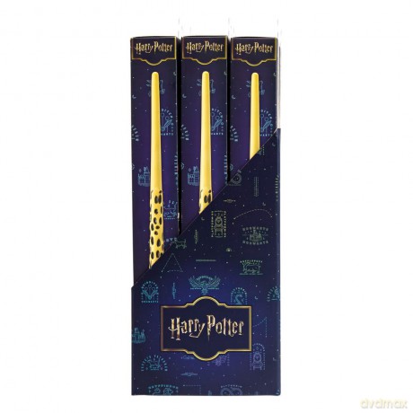 Harry Potter Role Play Wands Display (12)