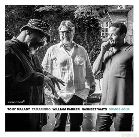 Tony Malaby: Tamarindo-Somos Agua [CD]