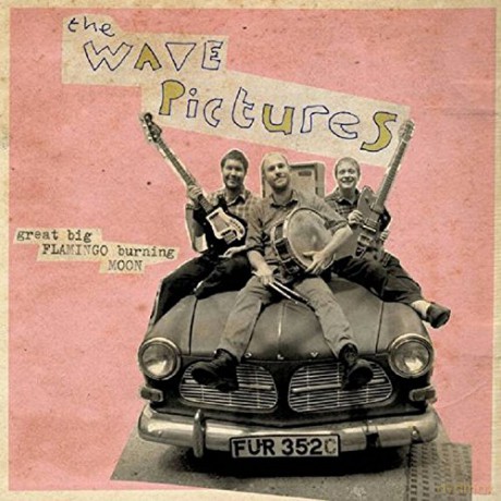 The Wave Pictures: Great Big Flamingo Burning Moon [CD]
