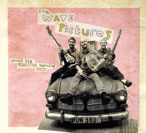 The Wave Pictures: Great Big Flamingo Burning Moon [CD]