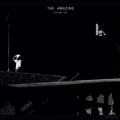 The Amazing: Picture You [CD]