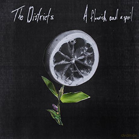 The Districts: A Flourish and A Spoil [Winyl]