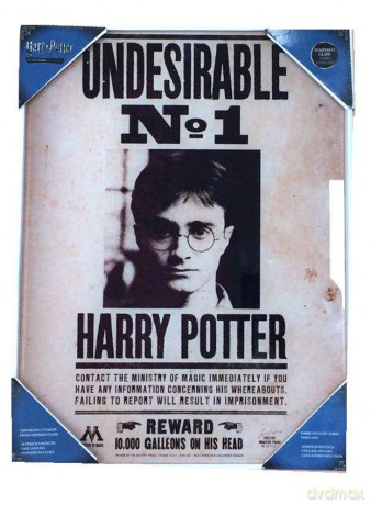 Harry Potter Glass Poster Undesirable No. 1 30 x 40 cm