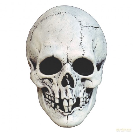 Mabry Monsters Mask Night Owl Skull White