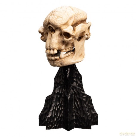 Lord of the Rings Mini Statue Skull of a Cave Troll 21 cm