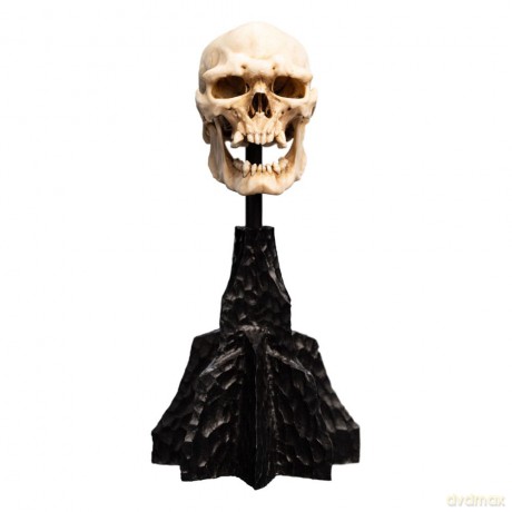 Lord of the Rings Mini Statue Skull of a Mordor Orc 14 cm