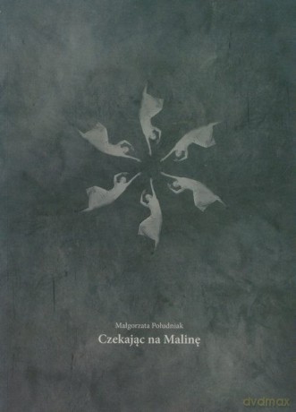 Czekając Na Malinę - Południak Małgorzata [KSIĄŻKA]