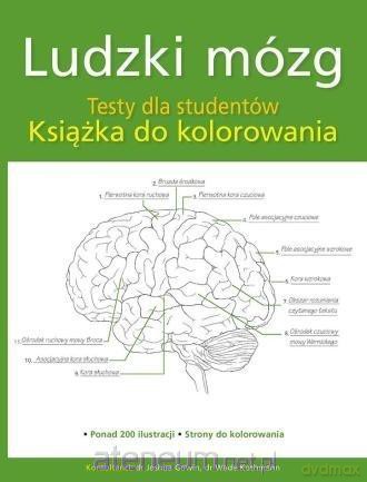 Ludzki mózg Testy dla studentów do kolorowania [KSIĄŻKA]