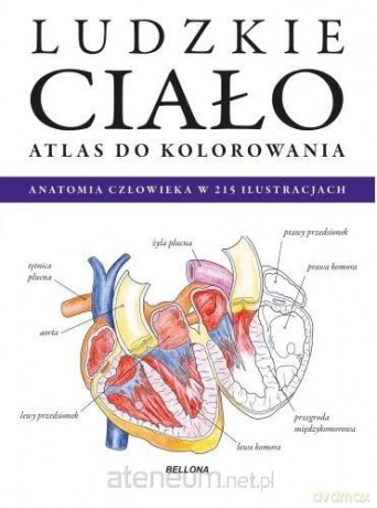 Ludzkie ciało. Atlas do kolorowania [KSIĄŻKA]