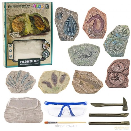Zestaw paleontologiczny wykopaliska narzdzia
