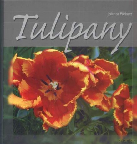 Blizny Po Ewolucji - Piekarz Jolanta [KSIĄŻKA]