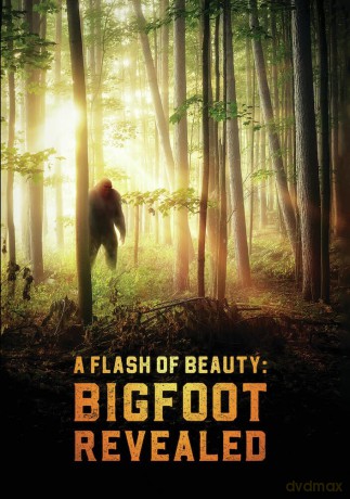 A Flash of Beauty: Bigfoot Revealed [DVD]