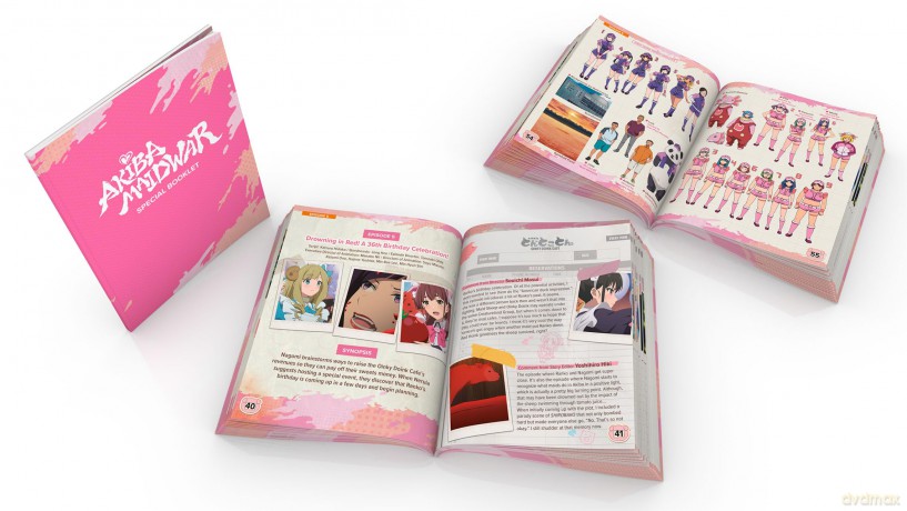 Akiba Maid War: Complete Collection Limited Edition Steelbook [DVD]
