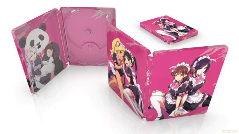 Akiba Maid War: Complete Collection Limited Edition Steelbook [DVD]