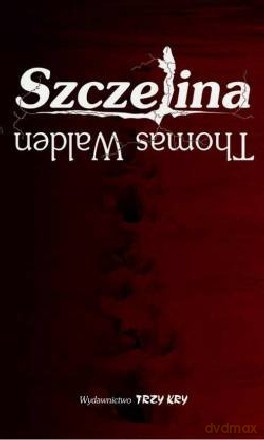 Szczelina - Walden Thomas [KSIĄŻKA]