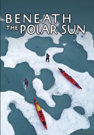 Beneath the Polar Sun [DVD]