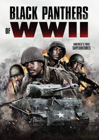 Black Panthers of WWII [DVD]