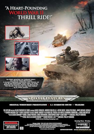Black Panthers of WWII [DVD]
