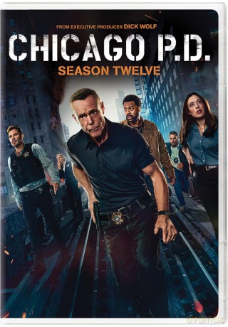 Chicago PD: Season 12 [DVD]