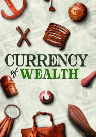 Currency of Wealth [DVD]