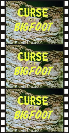 Curse of Bigfoot [DVD]