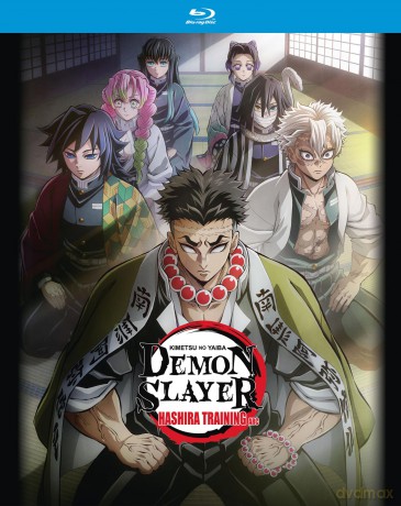 Demon Slayer: Kimetsu No Yaiba: Hashira Training Arc - Blu-ray [Blu-Ray]