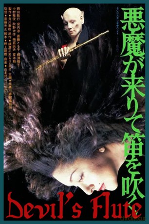 Devil's Flute Anamorphic Widescreen Edition [DVD]
