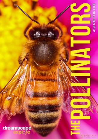 Dreamscape Explore: The Pollinators, Agents For Life [DVD]