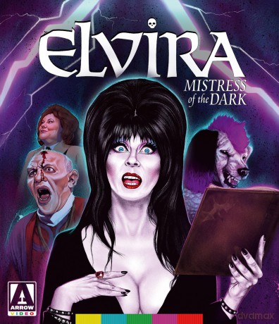 Elvira: Mistress Of The Dark (Standard Edition) [DVD]