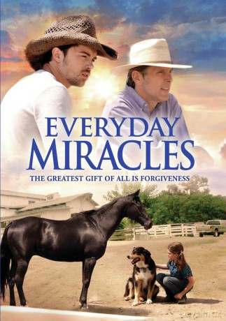 Everyday Miracles [DVD]