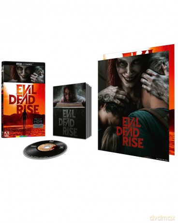 Evil Dead Rise [DVD]
