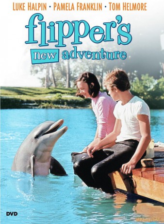 Flipper's New Adventure [DVD]