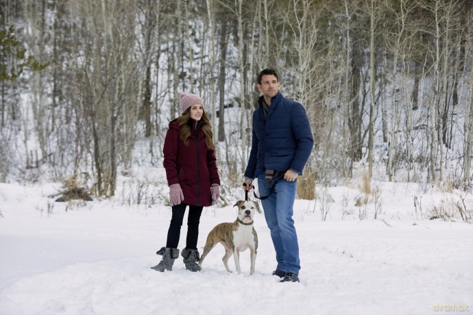 Hallmark 6-Movie Collection: Polar Opposites, Winter Love Story, Winter In Vail, Baby, It's Cold Inside, Hearts of Winter, Love in Winterland [DVD]
