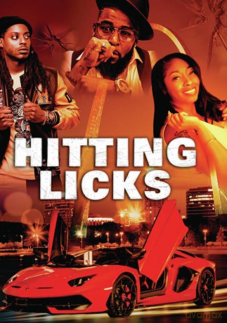 Hitting Licks [DVD]