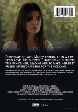 Holiday Boyfriend [DVD]