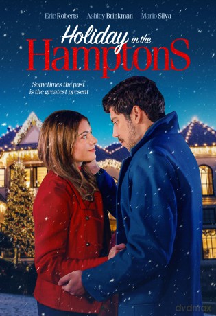 Holiday In The Hamptons [DVD]